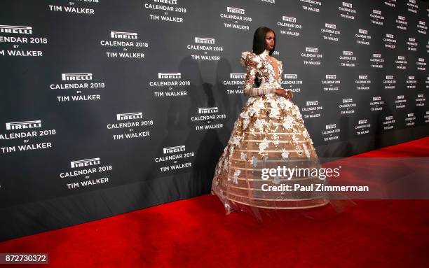 Duckie Thot attends Pirelli Calendar 2018 Launch Gala at The Manhattan Center on November 10, 2017 in New York City.