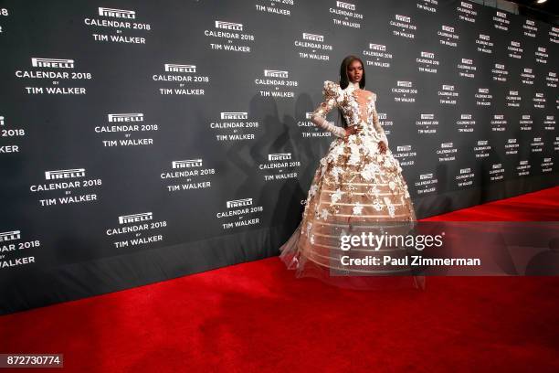 Duckie Thot attends Pirelli Calendar 2018 Launch Gala at The Manhattan Center on November 10, 2017 in New York City.