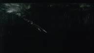 preview clip thumb