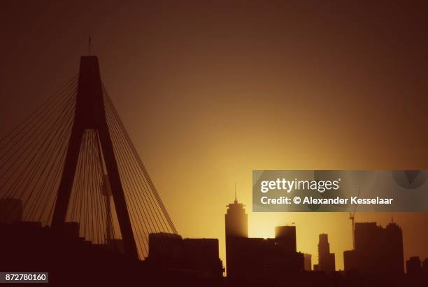 sydney cityscape - alexander kesselaar stock-fotos und bilder