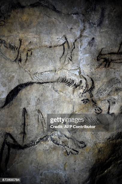 Drawings representing bison, horse and other animals, part of the parietal art or prehistoric art, adorn the walls of the Niaux cave, southwestern...