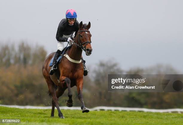 Harry Cobden riding Cue Card gallop before racing at Wincanton racecourse on November 11, 2017 in Wincanton, United Kingdom.