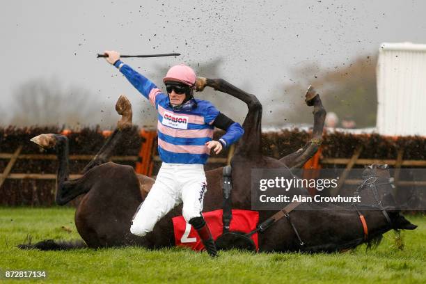 Sam Twiston-Davies riding Mont Des Avaloirs fall at the last when leading in The EBF Stallions National Hunt Novices' Hurdle Race at Wincanton...