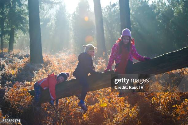 Children Embedded Log Path Family Sitting On A Log Photos and Premium High Res Pictures - Getty Images