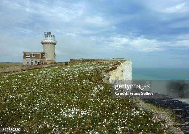 belle tout lighthouse at beachy head, east sussex, england - belle tout lighthouse stock-fotos und bilder