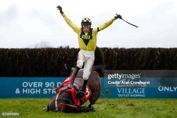 Harry Cobden falls from Valhalla at the last fence in The John Romans Park Homes âRising Starsâ Novicesâ Steeple Chase at Wincanton racecourse on...