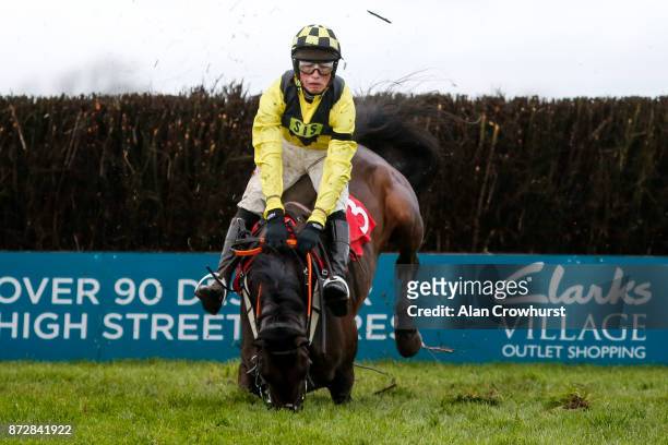 Harry Cobden falls from Valhalla at the last fence in The John Romans Park Homes âRising Starsâ Novicesâ Steeple Chase at Wincanton racecourse on...