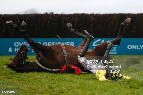 Harry Cobden falls from Valhalla at the last fence in The John Romans Park Homes âRising Starsâ Novicesâ Steeple Chase at Wincanton racecourse on...