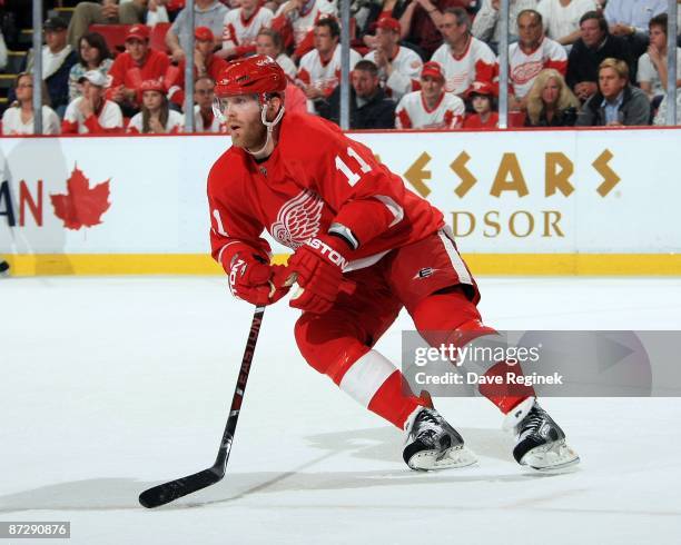 Dan Cleary of the Detroit Red Wings turns up ice during Game Seven of the Western Conference Semifinal Round of the 2009 Stanley Cup Playoffs against...