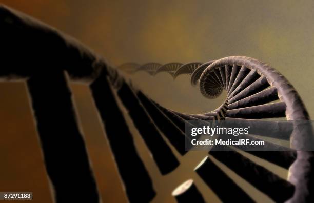 Dna Relistic 170 Realistic Dna Stock Photos, High-Res Pictures, and Images - Getty ...