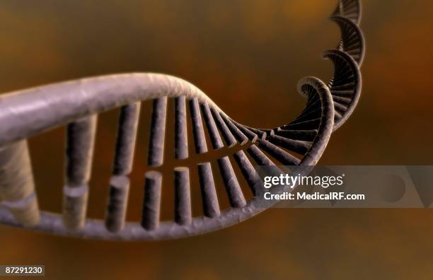 170 Realistic Dna Stock Photos, High-Res Pictures, and Images - Getty ...
