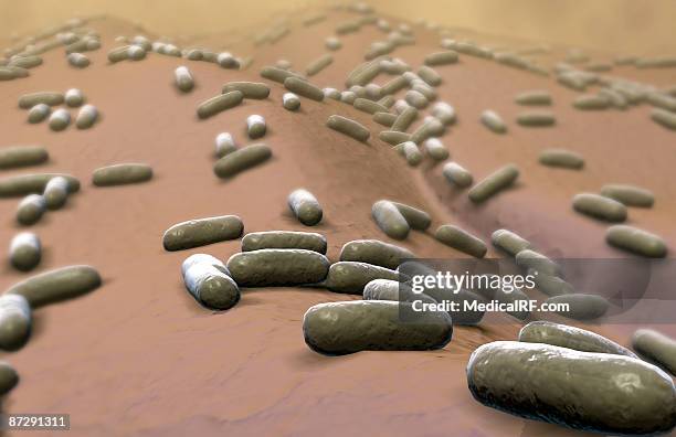 stockillustraties, clipart, cartoons en iconen met rod shaped bacteria - bacillus subtilis