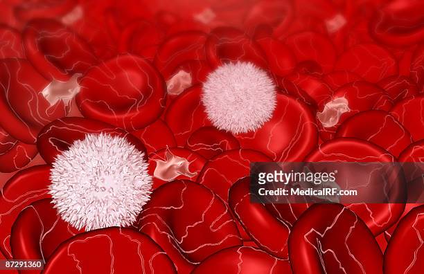 blood cells - fibrin stock illustrations