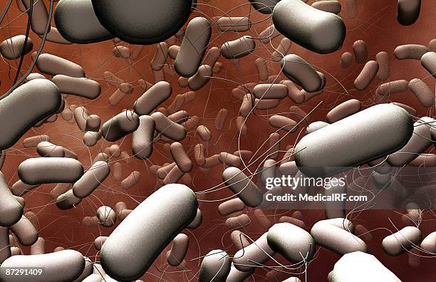 stockillustraties, clipart, cartoons en iconen met salmonella - salmonella infectie