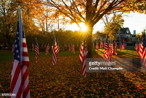 american flags in public park for veterans day - us veteran's day stock pictures, royalty-free photos & images