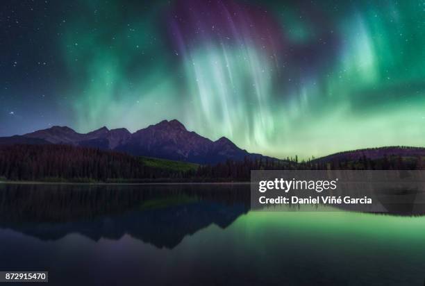 northern lights over the patricia lake in jasper national park, alberta, canada. - aurora borealis stock pictures, royalty-free photos & images