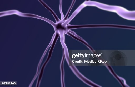 Neurons Neurons