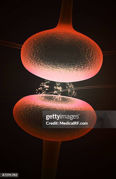 synapse - synapsenspalt stock-grafiken, -clipart, -cartoons und -symbole