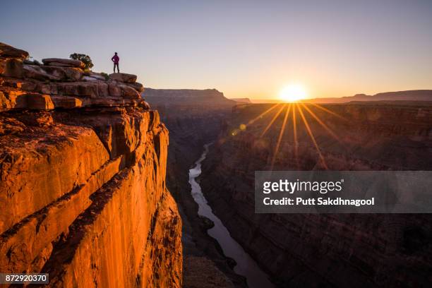 a woman looking at grand canyon and colorado river from toroweap overlook at sunrise - grand canyon national park stockfoto's en -beelden