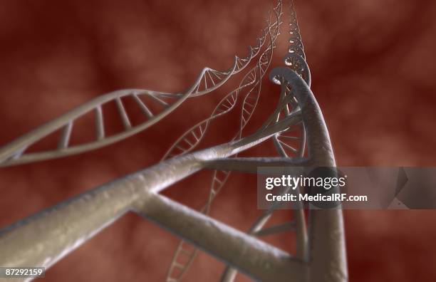 Dna Relistic Realistic Dna Photos and Premium High Res Pictures - Getty Images