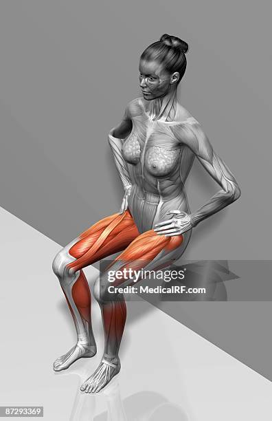 wall sit exercise - gastrocnemius stock illustrations