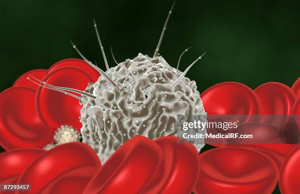stem cells - neutrophil stock illustrations
