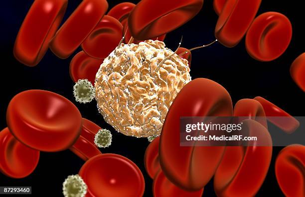 stem cells - eosinophil stock illustrations