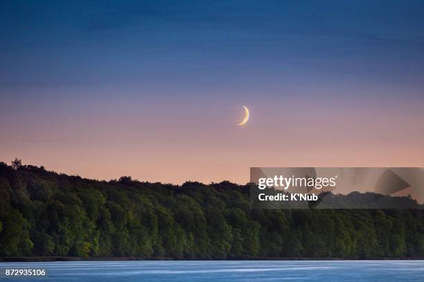 moon set over the tree behind the smooth river from lake at sunset near copenhagen denmark - k'nub stock pictures, royalty-free photos & images