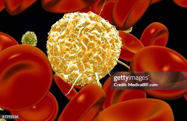 stem cells - neutrophil stock illustrations