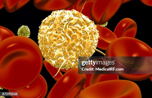 Stem cells Stem cells