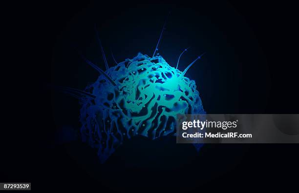 stem cells - neutrophil stock illustrations