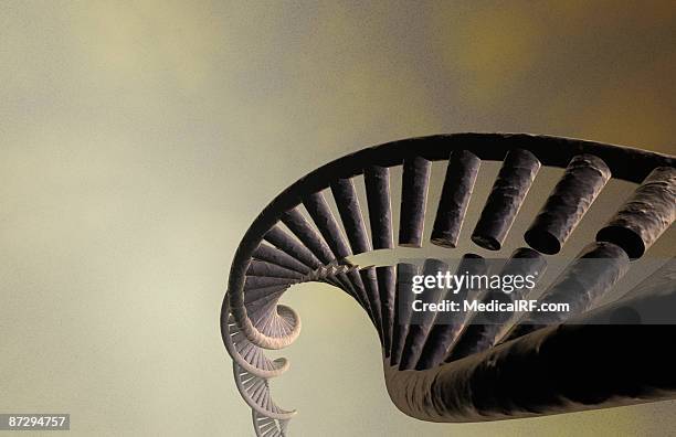 Dna Relistic Realistic Dna Photos and Premium High Res Pictures - Getty Images