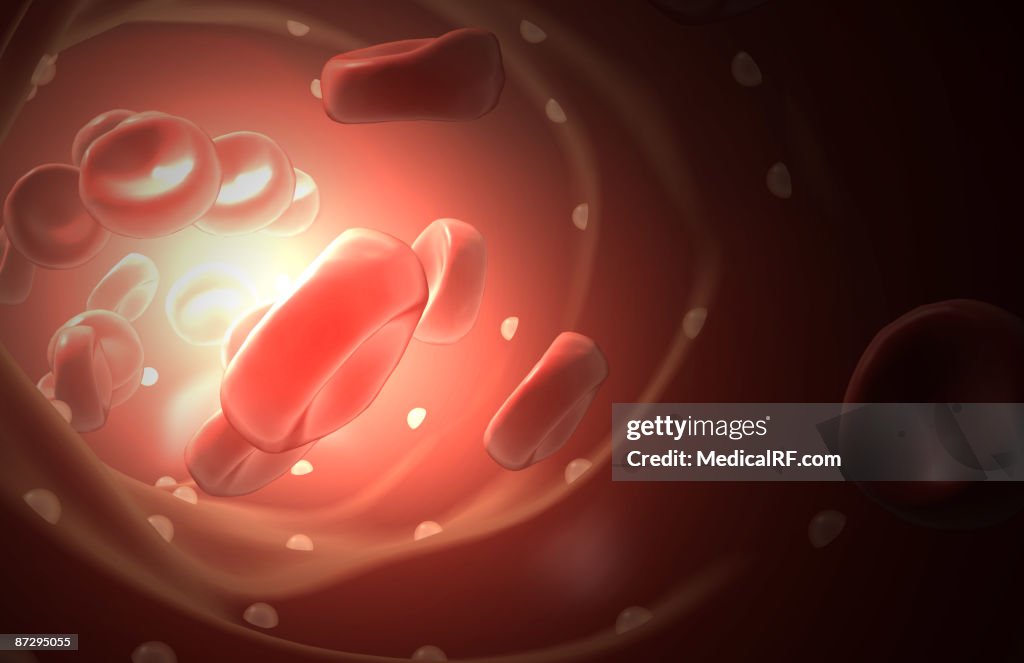 Red blood cells