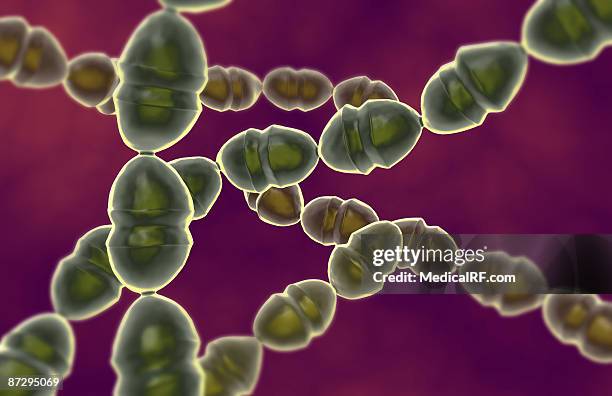 streptococci - streptococcus mutans 幅插畫檔、美工圖案、卡通及圖標