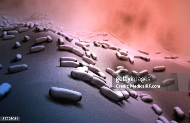 rod shaped bacteria - bacillus cereus stock illustrations