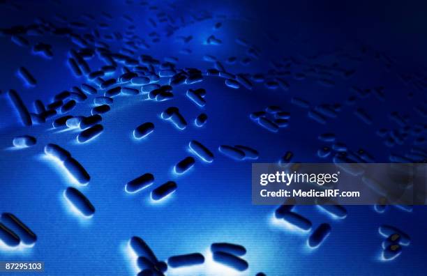 rod shaped bacteria - bacillus cereus stock illustrations