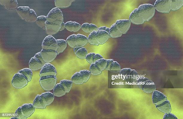 streptococci - streptococcus mutans 幅插畫檔、美工圖案、卡通�及圖標