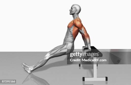Bench dips (Part 2 of 2) Bench dips (Part 2 of 2)