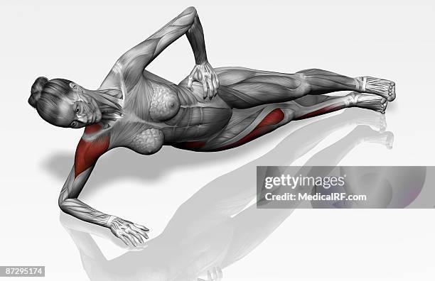 side plank exercise - side plank stock illustrations