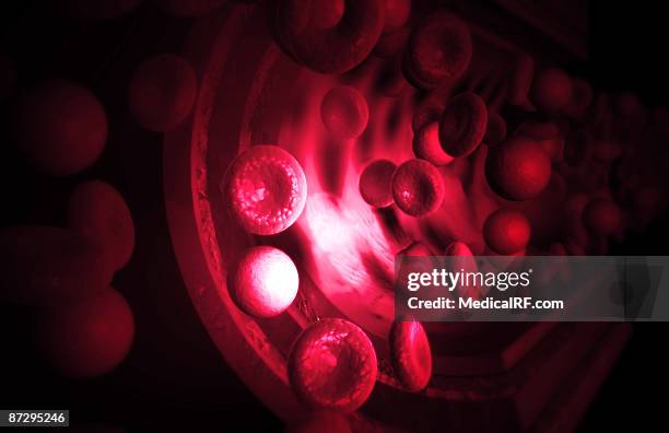 artery - endothelial stock illustrations
