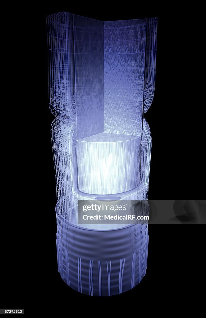Nerve fibre