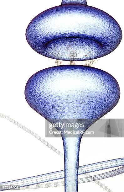 synapse - synapsenspalt stock-grafiken, -clipart, -cartoons und -symbole