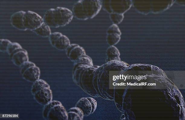 streptococci - streptococcus mutans 幅插畫檔、美工圖案、卡通及圖標