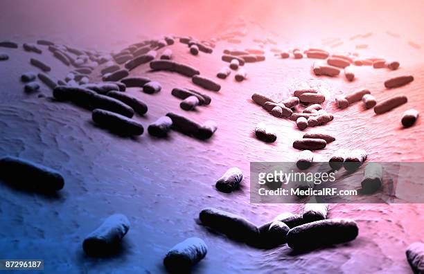 rod shaped bacteria - bacillus cereus 幅插畫檔、美工圖案、卡通及圖標