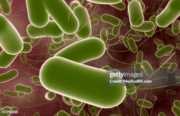 salmonella - intestinal tract infection 幅插畫檔、美工圖案、卡通及圖標