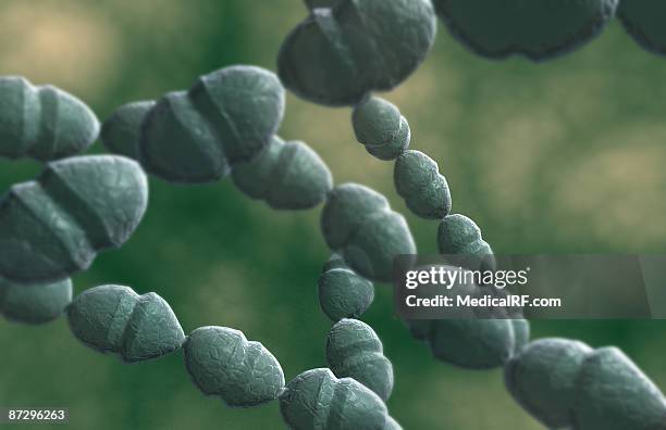 stockillustraties, clipart, cartoons en iconen met streptococci - streptococcus pyogenes