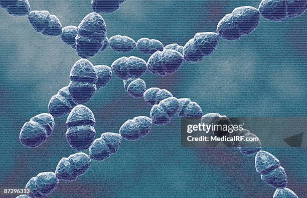 streptococci - streptococcus mutans 幅插畫檔、美工圖案、卡通及圖標