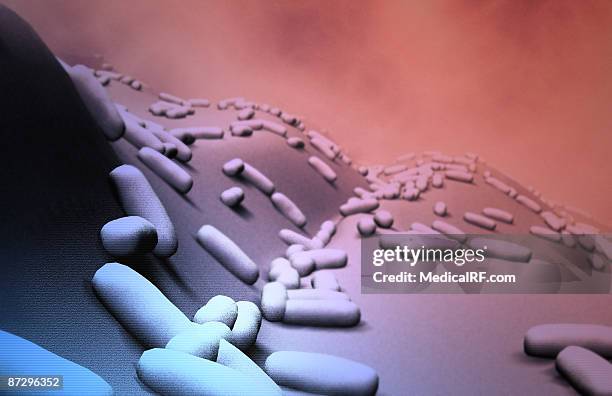 rod shaped bacteria - bacillus cereus stock-grafiken, -clipart, -cartoons und -symbole