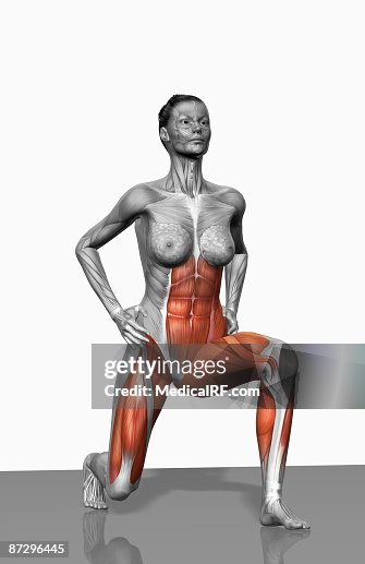 Lunge exercise (Part 1 of 2) Lunge exercise (Part 1 of 2)