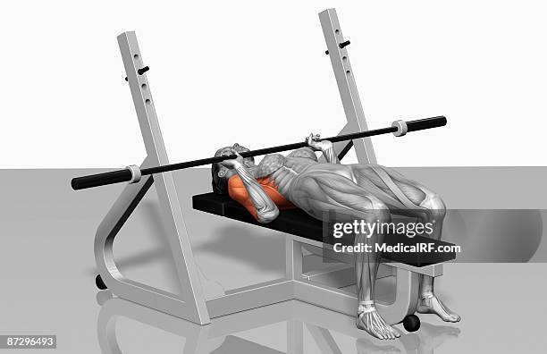 bench press (part 2 of 2) - bench press stock illustrations